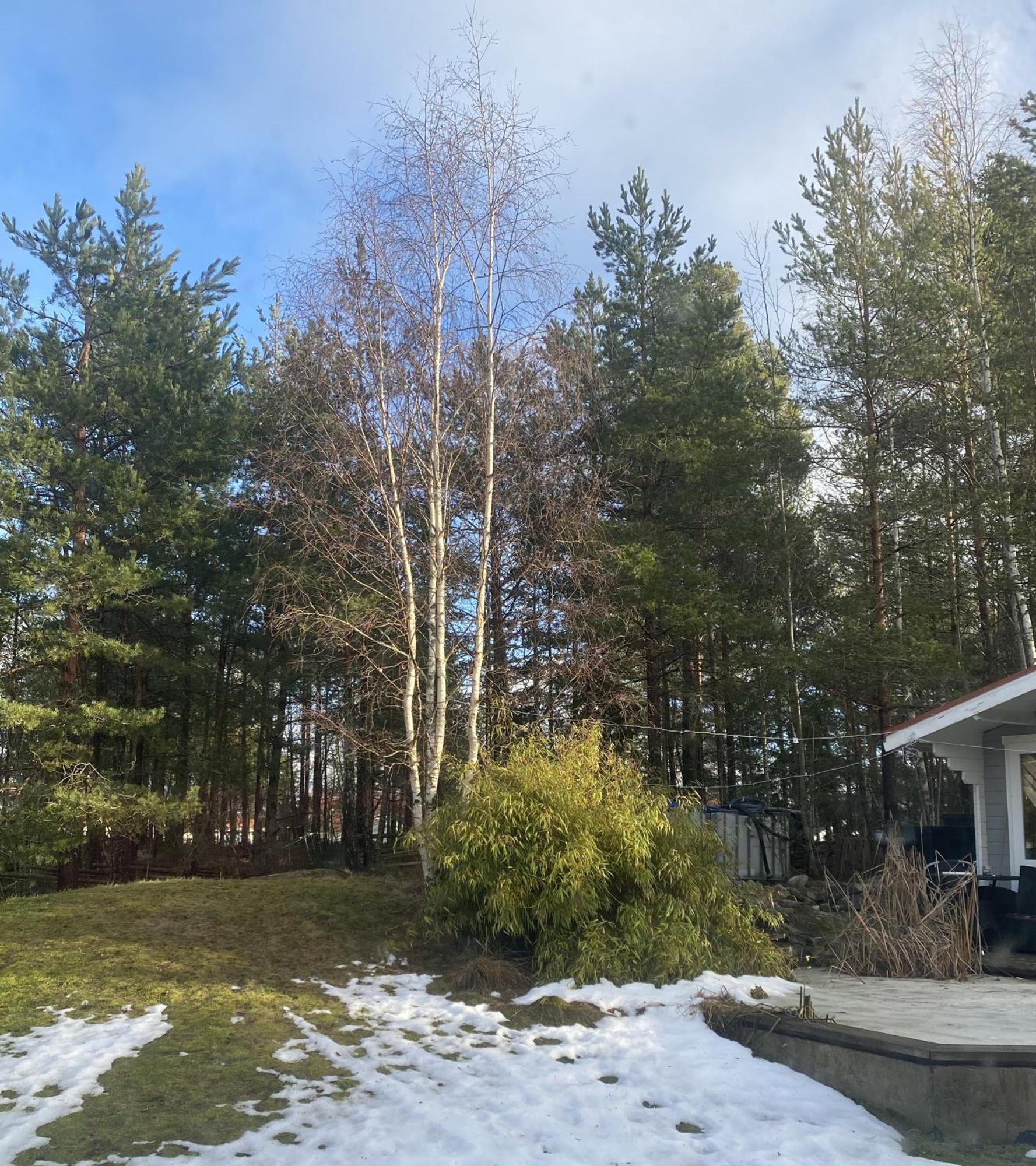 Hotel In Svalsaeter, Kallfors, Jaerna, Stockholm, 5 Min To Golf & 15 Min To Ytterjaerna Concerts Екстериор снимка
